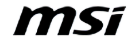 MSI