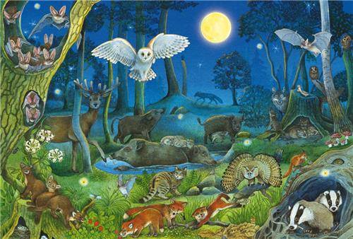 Schmidt Spiele Tiere Nachts im Wald - 100 Teile.