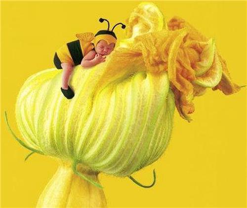 Schmidt Puzzel: Anne Geddes - Baby Bumblebee