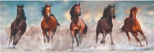 Clementoni - Puzzel 1000 Stukjes High Quality Collection - Horses Puzzel Voor Volwassenen en Kinderen, 14-99 jaar, 39607