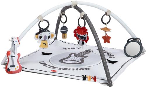 Tiny Love Rock With Me Gymini - Tiny Rockers - Vanaf de geboorte tot 4 jaar oud