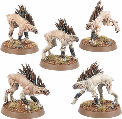 T'au Empire Kroot Hounds