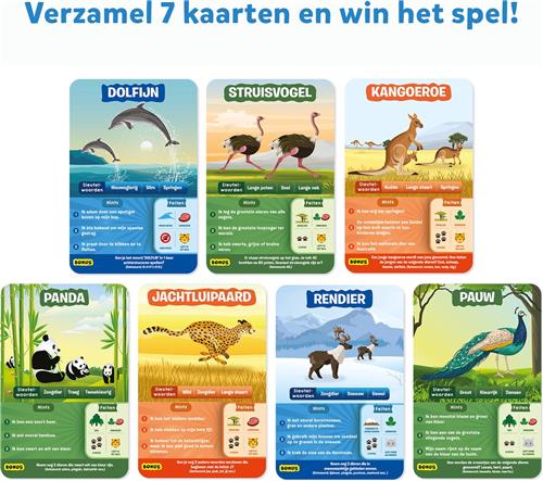 Educatief Spel Voor Kinderen Raad De Juiste Foto's Van Schattige Cartoon Coop Vlinder Bijenkorf Honing Ei Afdrukbare Boerderij Werkblad 32317906