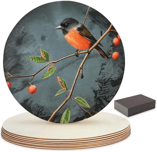 JGS ® 8 x ronde houten schijven om te knutselen met schuurblok, boomschijf 30 cm diameter, 3 mm dik, natuurlijke houten plaatjes, ronde uitsparingen voor kunst, bordplaque, ornamenten of als