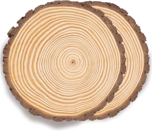 Goodivery ® Creatieve Houten Schijven voor Decoratie en DIY Projecten