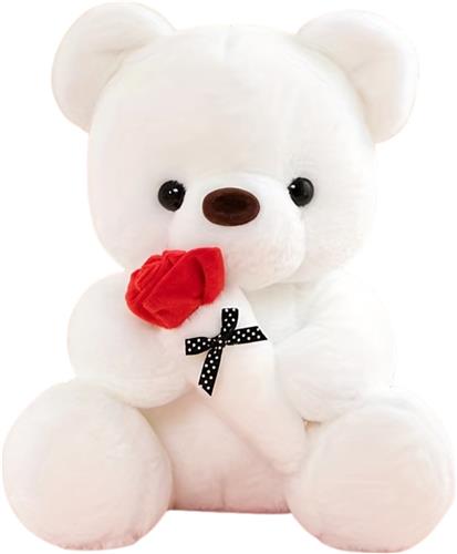 Livano Teddybeer - Knuffelbeer - I Love You - Klein - 12 Jaar En Ouder - Schattige Knuffels - Bloemen - Wit