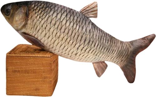 Bovista Knuffel - Knuffelbeer - Knuffeldoekje - Groot - Meme - Baby - Vis 2 - Stuffed Animal - Plushie - Plush - Dier - 100cm