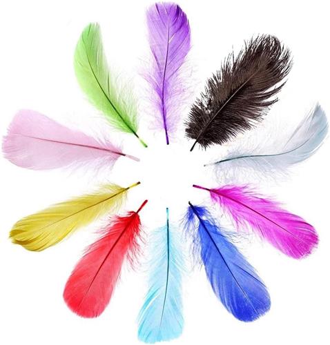 Inovra - 10 stuks 25-30cm Kleurrijke Fluffy Regenboog Struisvogelveertjes Lang Mixed Colors DIY Plume . - Hobbydecoratieobject