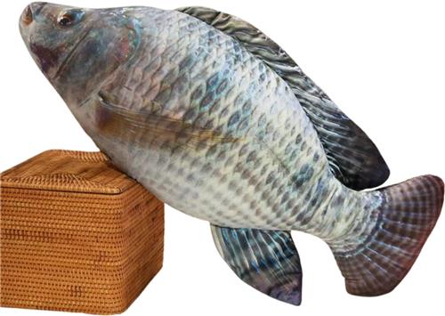 Nivard Knuffel - Knuffelbeer - Knuffeldoekje - Groot - Meme - Baby - Vis 4 - Stuffed Animal - Plushie - Plush - Dier - 60cm