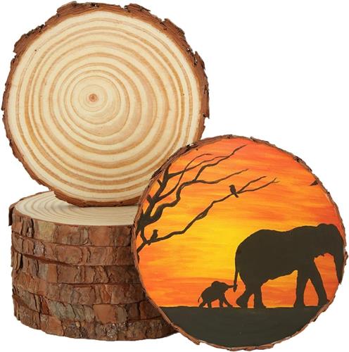 Inovra ® Set van 8 Houten Schijven voor Creatieve Decoratie en Ambachtelijke Projecten