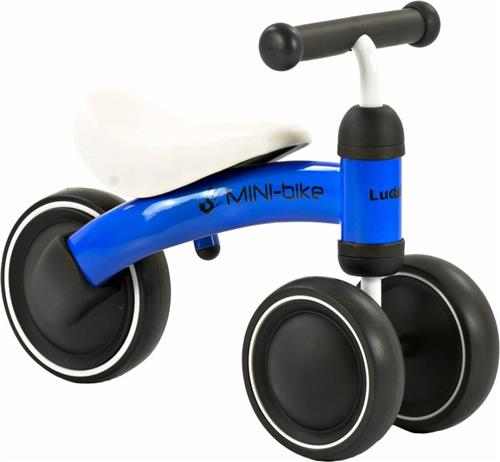 2Cycle Mini-Bike - Loopfiets - Jongens en Meisjes - 1 Jaar - Speelgoed - Blauw - Loopfiets 1 jaar - Balance bike