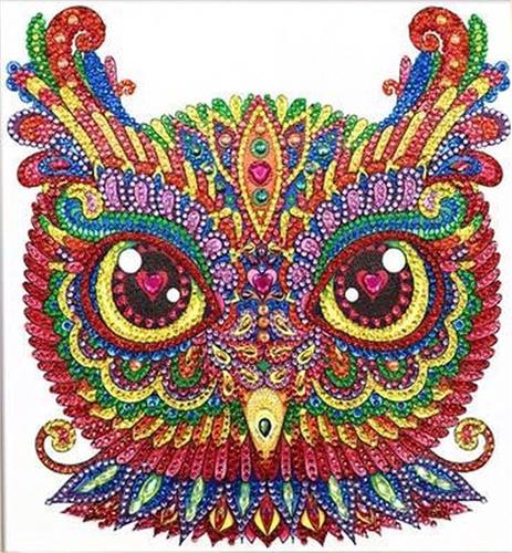 CHPN - Diamond painting - Diamond - 30/30 - Knutselen - Diamantjes - Creatief - Uil - Dieren - Met opbergdoosje - Steentjes - Schilderij maken