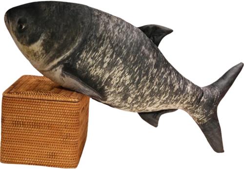 Bovista Knuffel - Knuffelbeer - Knuffeldoekje - Groot - Meme - Baby - Vis 3 - Stuffed Animal - Plushie - Plush - Dier - 30cm