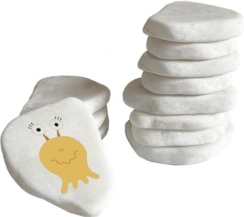 JGS ® Creatieve Set van 12 Platte Natuurstenen voor Schilderen en Decoratie