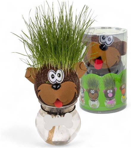 JGS Premium - Dierengraskop voor kinderen - Interactief leerspeelgoed - Waterreservoir - Gazonzaad - Schattig cadeau - Grappig experiment