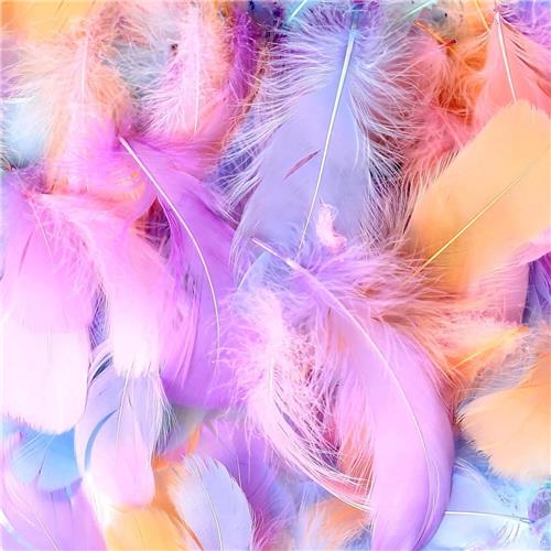 JGS Premium - Veren Knutselset 600 stuks in Macaron kleuren voor DIY Dreamcatchers, Feestdecoratie