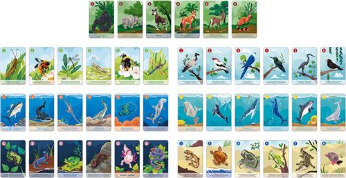 Janod WWF - Spel Het Dierenrijk Happy Family