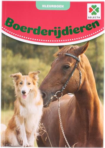 Boerderijdieren Kleurboek
