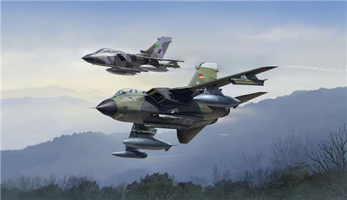 Revell Modelbouwpakket - 63801 Tornado Twin-Pack - 50e verjaardag Panavia Tornado - 2 Straaljagers - Model Set - 1:72