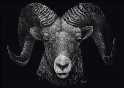 Ashley Rader - Ram - 1000 stukjes