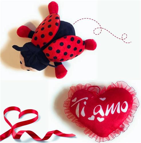 Liefdesgeschenk Voor Haar: Kussen Hart 'Ik Hou Van Jou' (22 cm) & Lieveheersbeestje Teddybeer Om Op Te Hangen (20 cm)  Perfect Valentijnsdagcadeau Voor Je Vriendin
