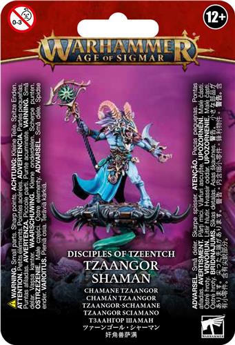 Age of Sigmar Disciples of Tzeentch Tzaangor Shaman