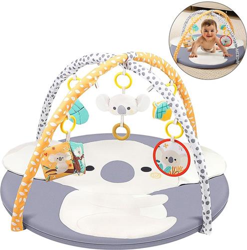 DailySupplies® Baby Speelkleed Met Boog - Babyspeelgoed 0 Jaar - Kinderspeelgoed 1 Jaar - Speelmat - Babygym met Ligkussen