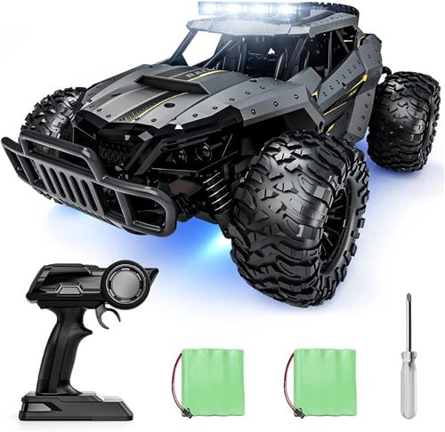 MKSS® RC Auto Volwassenen - Bestuurbare Auto voor Buiten - Offroad - Grijs
