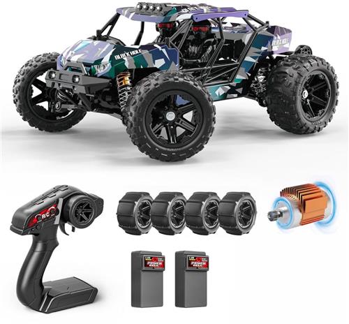 DailySupplies® RC Auto Volwassenen - Bestuurbare Auto voor Buiten - Offroad - Zwart