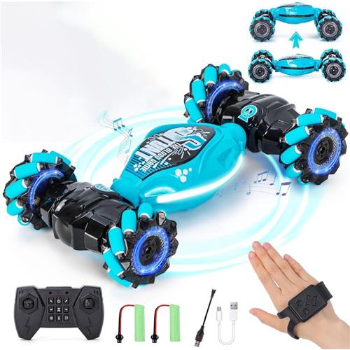 MKSS® RC Auto Volwassenen - Bestuurbare Auto voor Buiten - Offroad - Blauw