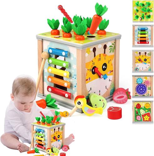 VELTRR® Speelgoed 2 Jaar - Kinderspeelgoed - Multi Kleur