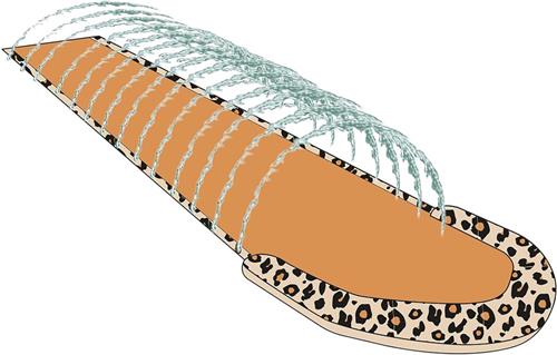 Buikschuifbaan - Waterglijbaan - Waterslide