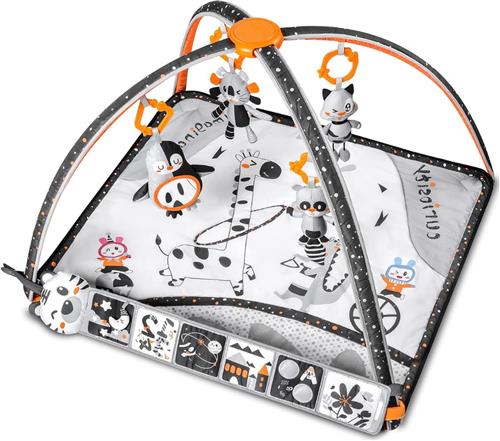 DailySupplies® Baby Speelkleed met Boog - Kinderspeelgoed 0 & 1 Jaar - Babygym Speeltjes - Speelmat - Grijs