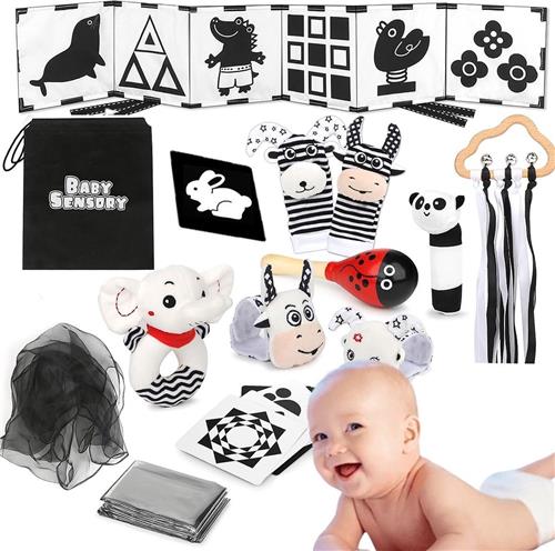 DailySupplies® Speelgoed 1 Jaar - Kinderspeelgoed Jongens - Educatief Speelgoed Meisjes - Zwart met Wit