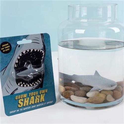 magische Haai groeit in water