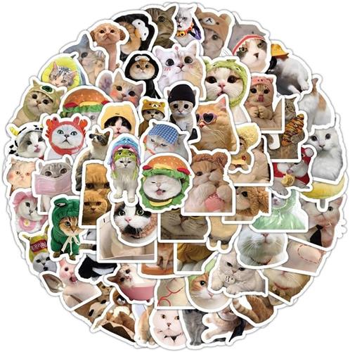 Thelau - Grappige kattenstickerset - 100 stuks, schattige en waterdichte vinyl stickers voor kattenliefhebbers