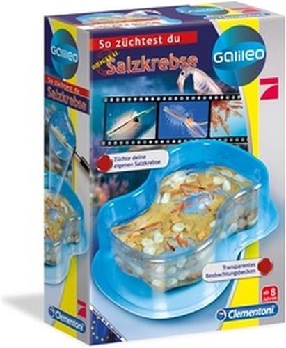 Galileo Original Salzkrebse