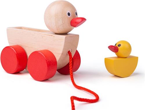 Bigjigs Eend en Eendje