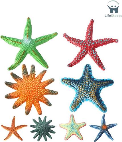 LifeStages - Zwembad Speelgoed - Doosjes Zwemspeelgoed - Duikdieren Voor Kinderen - Rubberen Zeedieren - Duikspeelgoed - Zeesterren Waterspeelgoed - Waterdieren - Geschikt Voor Kinderen - Leren Duiken - Duurtraining - Strandspel