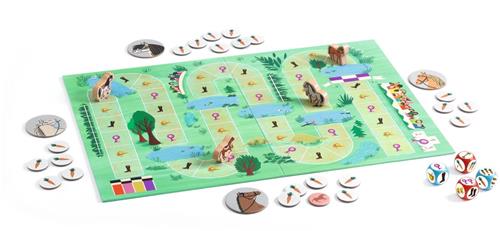 Djeco JEUX - JEUX Caballo.