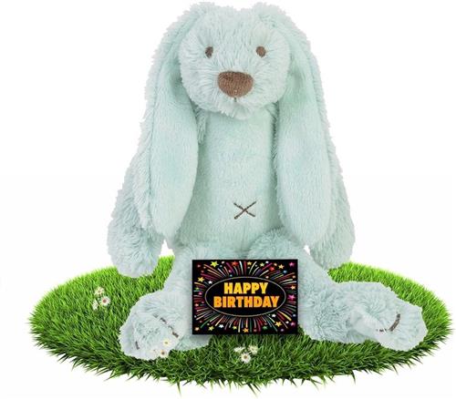 Verjaardag knuffel konijntje Richie mintgroen 28 cm - incl. gratis verjaardagskaart