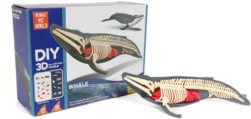 PIA Soft Toys - Walvis - 3D Anatomie
