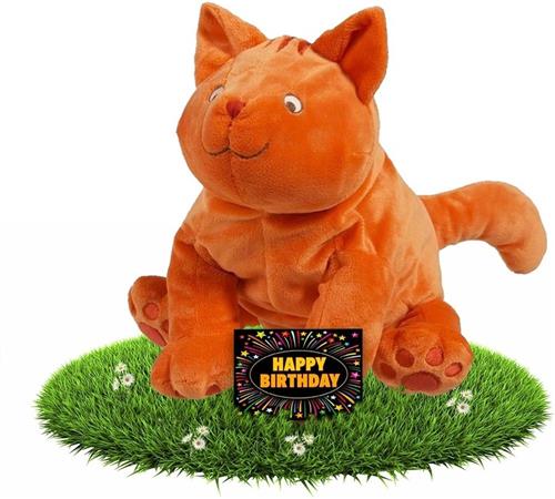 Verjaardag knuffel Dikkie Dik 43 cm met gratis verjaardagskaart