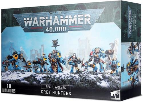 Space Wolves Grey Hunters