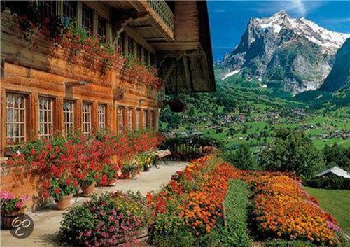 Zwitsers Chalet, Wetterhorn