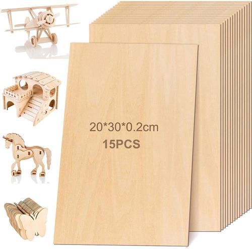 PolkaHome ® Uitgebreide Set van 15 Houten Platen voor Creatieve Projecten en Kunst