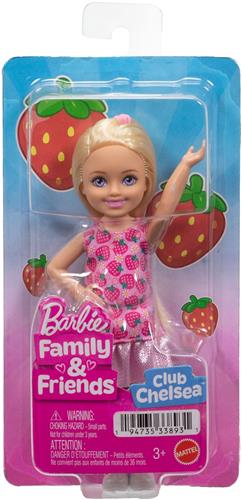 Barbie Familie en Vrienden Pop