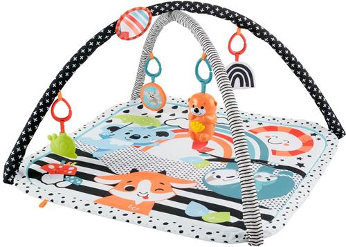 Fisher-Price 3-in-1 Muziek Glow & Grow Gym, Baby Speelmat - Met Lichtjes en Sensorisch Speelgoed voor Pasgeborenen