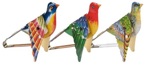 Goki Singing sparrow.