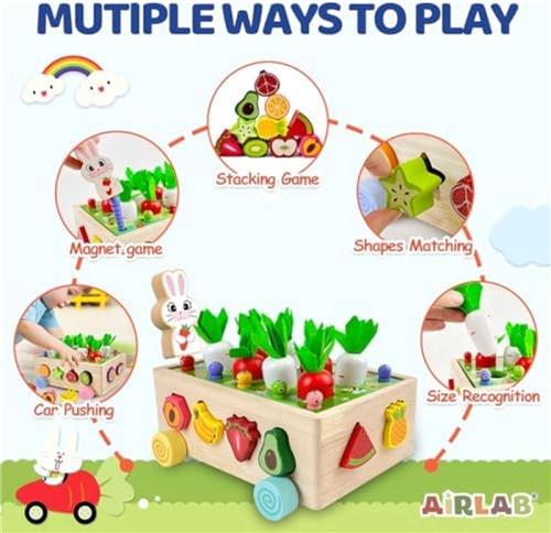 Montessori Educatief Speelgoed voor Meisjes Jongens 1 2 3 Jaar Oud, Houten Wortel Oogst Spel, Kleurvorm Sorteren Puzzels Stapelen Kubussen, Baby Zintuiglijke Fruit Tuin Speelgoed